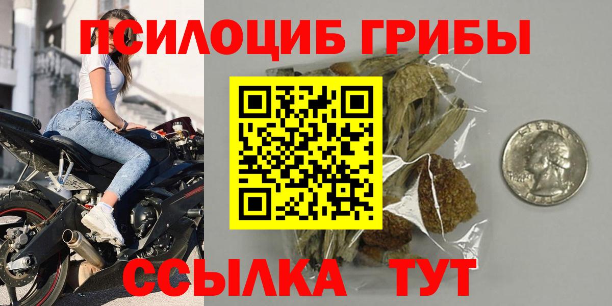 Галлюциногенные грибы Cubensis  Вход с VPN  Шелехов 